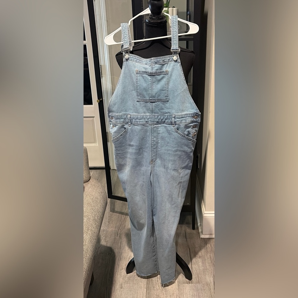 Women’s Express Light Blue Denim Overalls